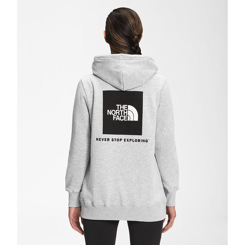 The North Face Box Nse Pullover Γυναικεια Φούτερ Hoodie - Ανοιχτο Γκρι (IVWL56712)
